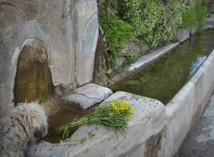 Casa Rural Vilaspasa, Alquiler Integro Gotarta Bagian luar foto